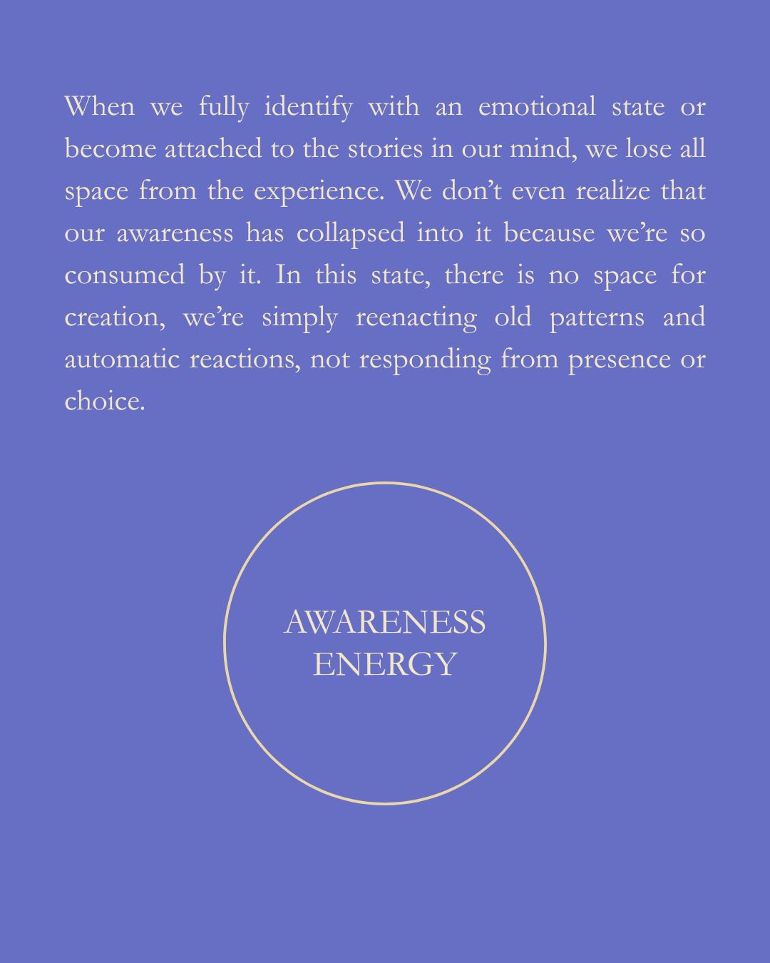 Let Yourself BLOOM Course January 11th - February 8th 2026