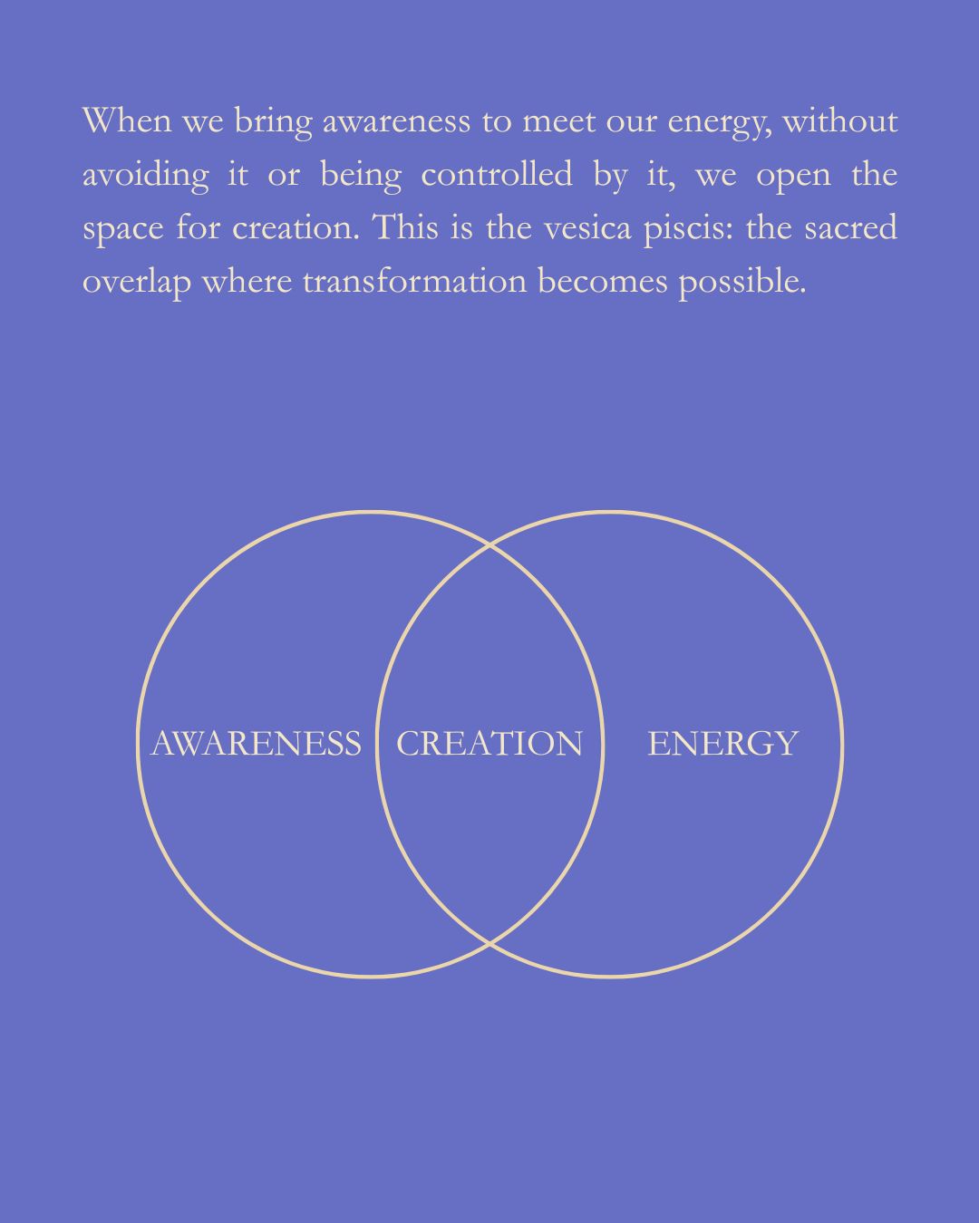 Let Yourself BLOOM Course January 11th - February 8th 2026