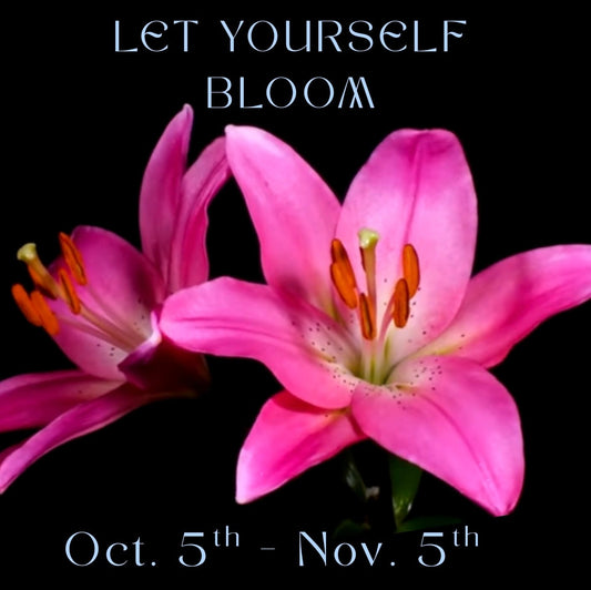 Let Yourself Bloom: You Are Your Own Healer                                         October 5th - November 5th 2025